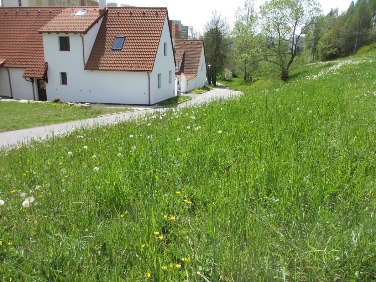 Apartmány U Procházků Český Krumlov Esterno foto